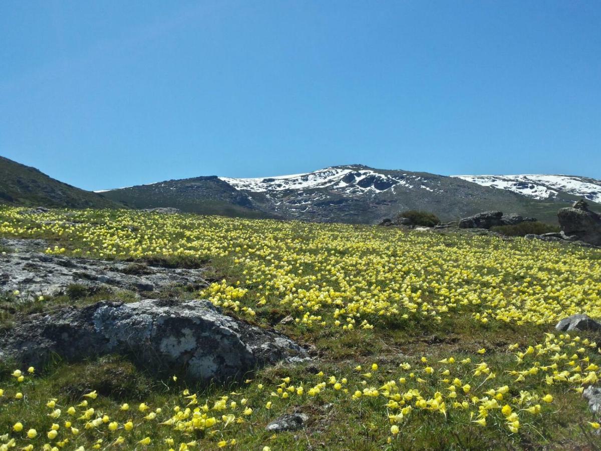 Apartamento Orgaz Apartman Candelario Kültér fotó